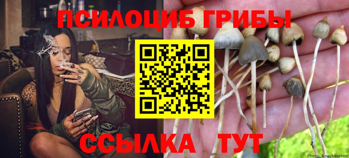 Первоуральск  Галлюциногенные грибы мухоморы  Вход с VPN 
