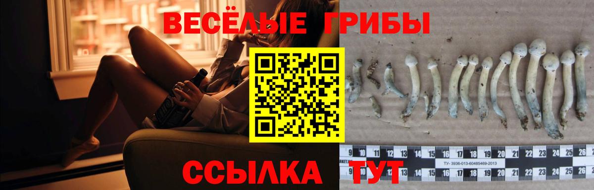 Псилоцибиновые грибы мицелий Первоуральск